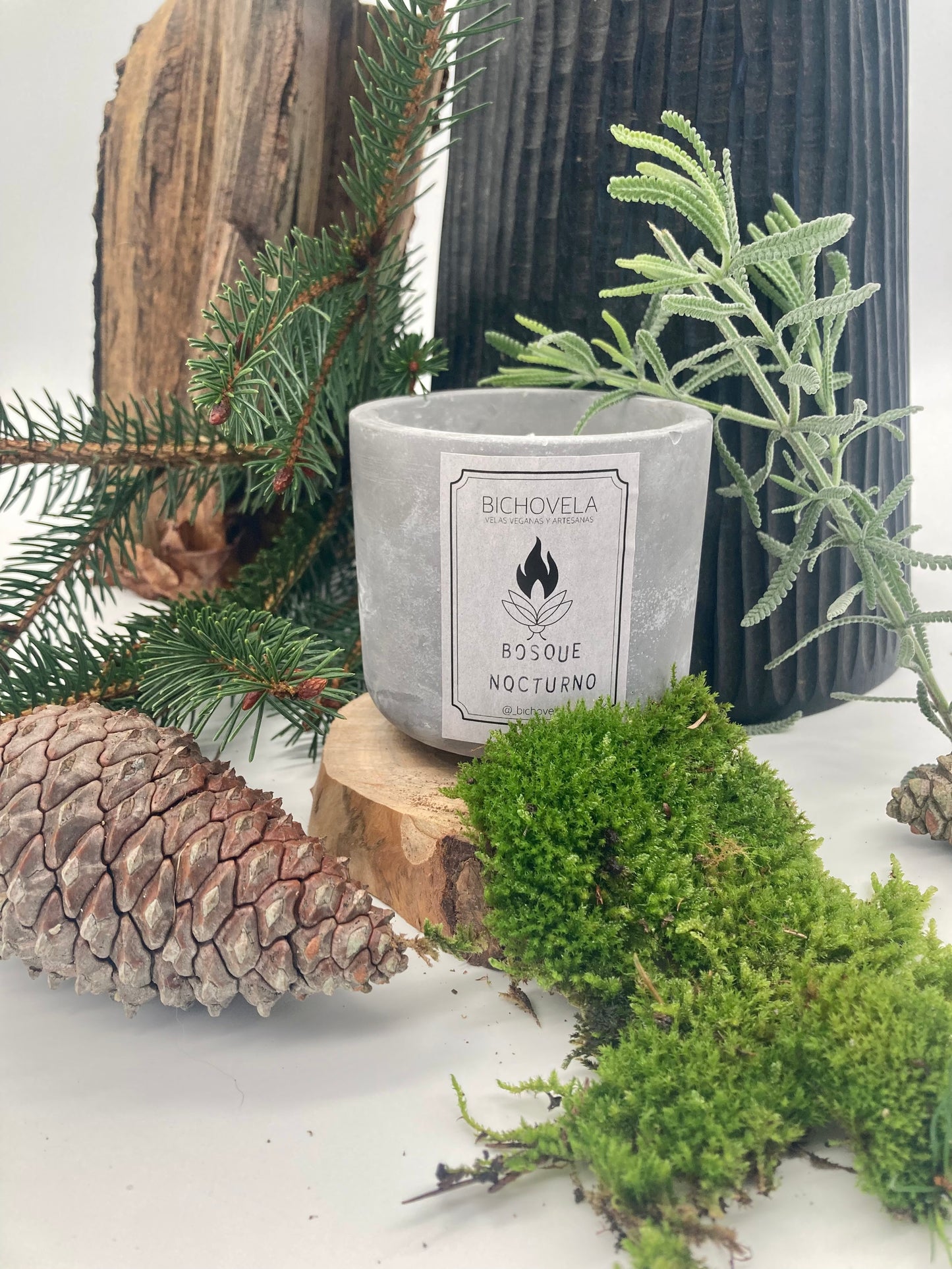 Vela bosque nocturno